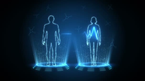 Man en vrouw virtueel lichaam. Menselijke medische hologram animatie. Digitale infographic. Geneeskunde en gezondheidszorg. High tech toekomstige lus animatie. - Video