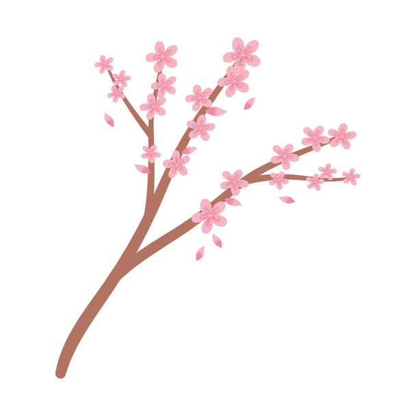 Banch puu sakura kukat lehtien koristelu eristetty kuvake tyyli - Vektori, kuva