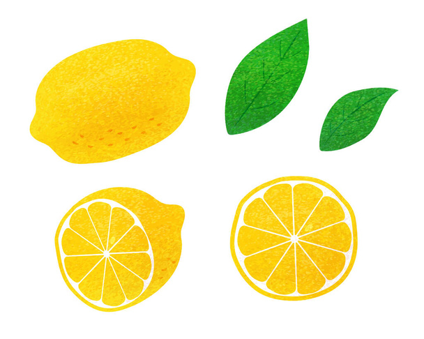 Лимонна ілюстрація набір матеріалу / аналоговий стиль
 - Вектор, зображення