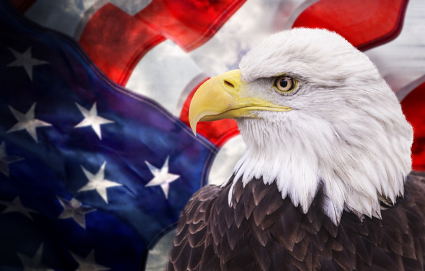 φαλακρός αετός με την αμερικανική σημαία - Φωτογραφία, εικόνα