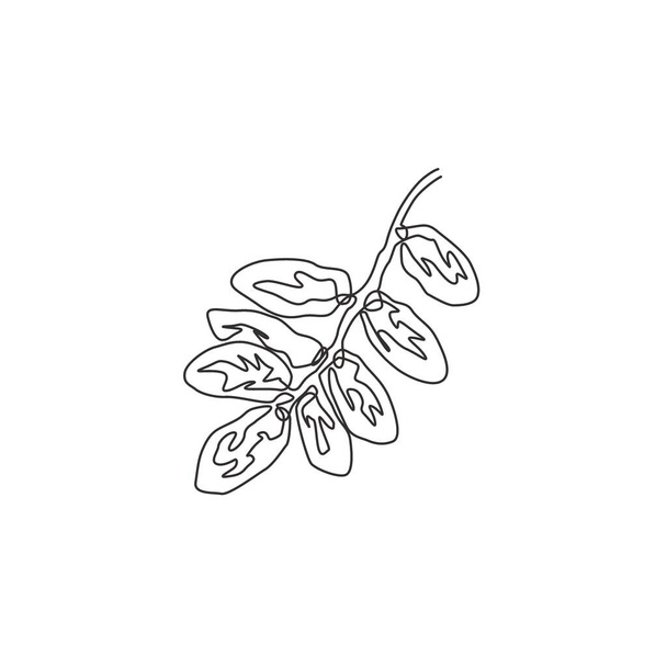 Única linha contínua desenho pilha saudável frutas orgânicas datas para a identidade do logotipo do pomar. Arábia Saudita conceito frutífero para ícone de jardim de frutas. Desenho moderno de uma linha desenho vetorial ilustração gráfica - Vetor, Imagem