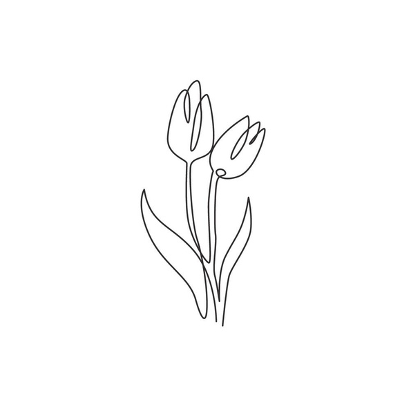Jedna čára kresby krásy čerstvý tulipán pro logo. Tisknutelný dekorativní Holandsko národnost květinový koncept pro stěny domů dekorace plakát umění. Moderní kontinuální kreslení vektorové ilustrace - Vektor, obrázek