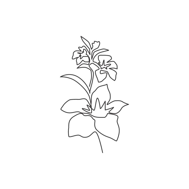 Single continue lijn tekening van schoonheid frisse orchidee voor muur home decor kunst. Printable decoratieve poster orchidaceae bloem onkruid uitnodiging kaart. Moderne one line draw ontwerp vector illustratie - Vector, afbeelding