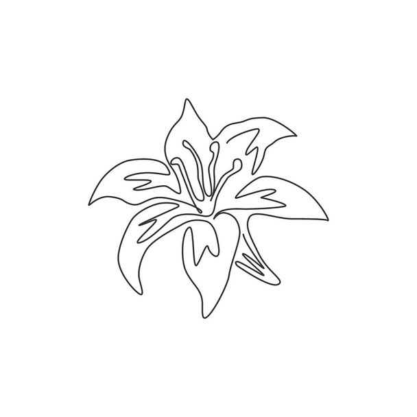 Una línea continua de dibujo de belleza fresca perennes lilium para el logotipo del jardín. Flor de lirios verdaderos decorativos imprimibles para la decoración de la pared del hogar cartel. Ilustración vectorial de diseño de línea única moderna - Vector, Imagen