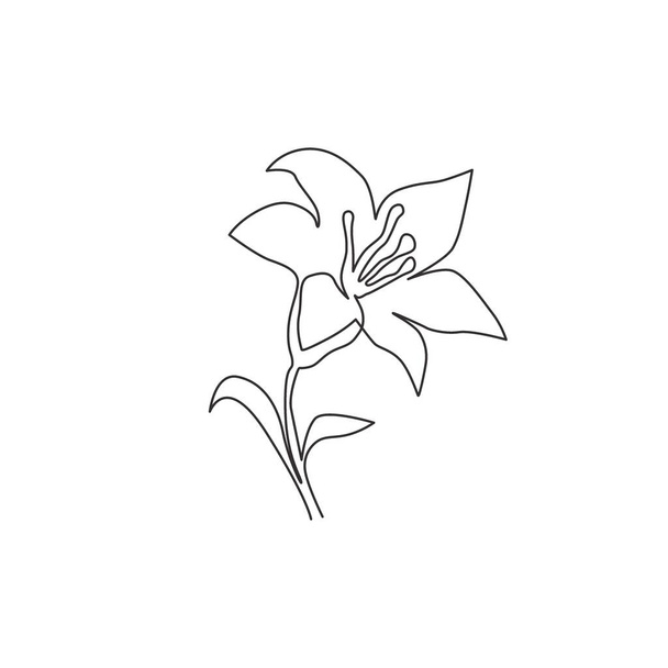 Single jatkuva linja piirustus kauneuden tuoretta lilium kodin seinäkoristeen juliste. Tulostettava koriste totta liljat kukka onnittelukortti koriste. Moderni yhden linjan piirtää suunnittelu vektori kuva - Vektori, kuva