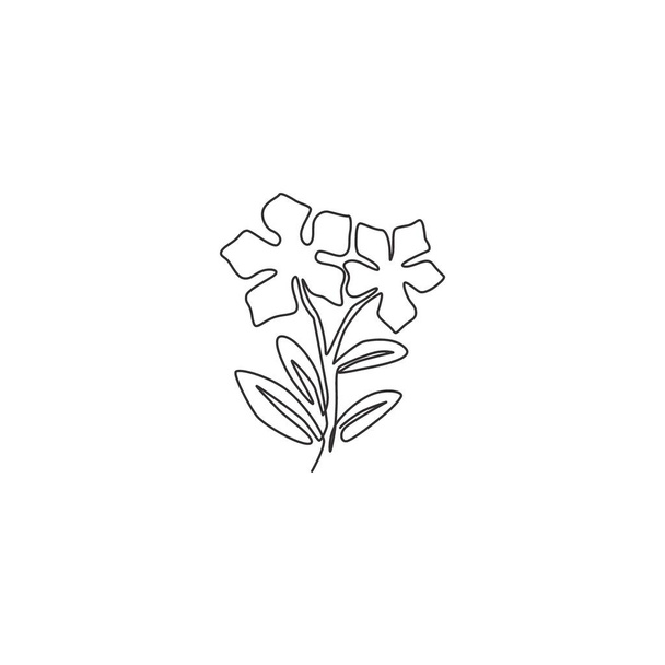 Jedna souvislá čára kreslení krásy svěží kataranthus pro nástěnný výzdoba domů plakát. Printable decorative periwinkle flower concept for park icon. Moderní jednořádková kresba vektorová ilustrace - Vektor, obrázek
