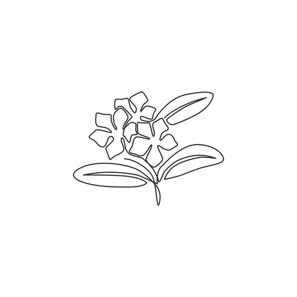 Single continuous line drawing of beauty fresh vinca for home wall art decor poster. Printable decorative periwinkle flower for greeting card ornament. Modern one line draw design vector illustration - Vecteur, image