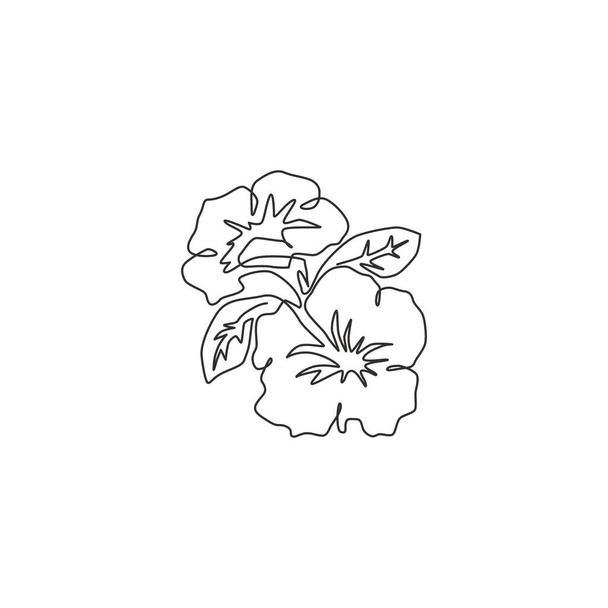 Egyetlen soros rajz a szépség friss petunioideae otthoni faldekorációs poszter. Nyomtatható dekoratív petúnia virág esküvői meghívó kártya. Modern folyamatos vonalhúzás design vektor illusztráció - Vektor, kép