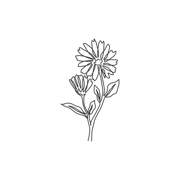 One continuous line drawing of beauty fresh calendula for garden logo. Printable decorative marigold flower concept for home wall decor poster art. Modern single line draw design vector illustration - Vector, Image