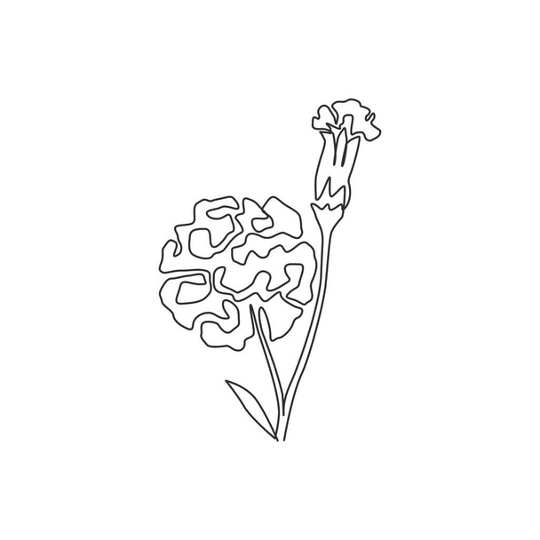 Yksi jatkuva linja piirustus kauneuden tuoretta neilikka puutarhan logo. Tulostettava koriste dianthus kukka käsite kodin juliste seinän art sisustus. Moderni yhden linjan piirtää suunnittelu vektori kuva - Vektori, kuva