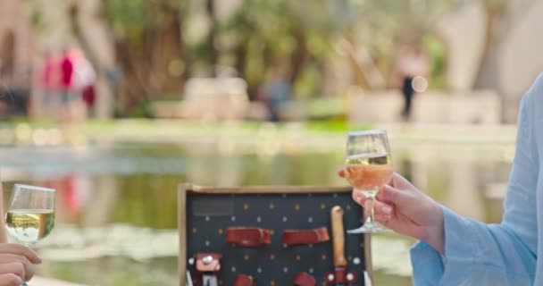Přítelkyně dělají toast slaví oběd párty pití vína nebo šampaňského, 4K - Záběry, video