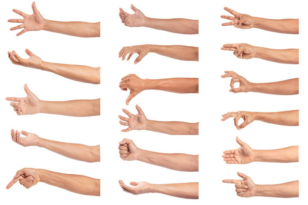 Набір рук людини ізольовано на білому тлі
. - Фото, зображення