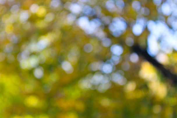 Sarı bulanık soyut arkaplan - Fotoğraf, Görsel