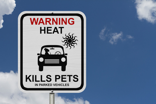 Dangers de laisser un chien dans des voitures garées
 - Photo, image