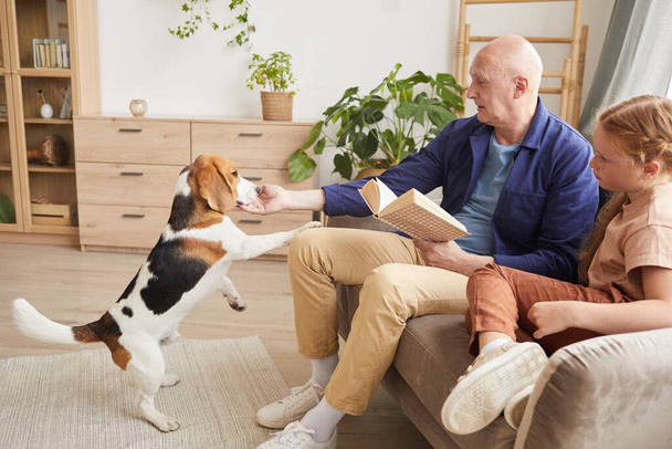 Ritratto vista laterale di uomo anziano che gioca con il cane mentre si gode la lettura in soggiorno con nipote, spazio copia - Foto, immagini