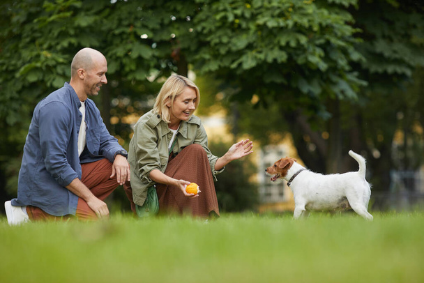 Vista laterale ritratto di coppia adulta che gioca con il cane nel parco, concentrarsi sulla donna sorridente tenendo palla a Jack Russel Terrier, spazio copia - Foto, immagini