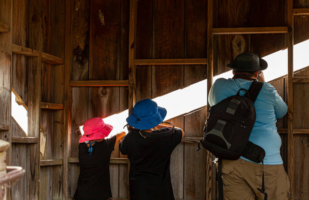 Мужчина, двое его детей в деревянной шкуре в приюте для диких животных пытаются сделать снимки дикой природы через отверстие на стене. Они все носят солнечные шляпы и имеют камеры, чтобы снимать фотографии.. - Фото, изображение