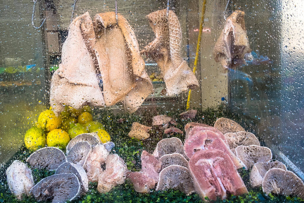 Χοιρινό ρύγχους, παραδοσιακό φαγητό του δρόμου στη Νάπολη - Φωτογραφία, εικόνα