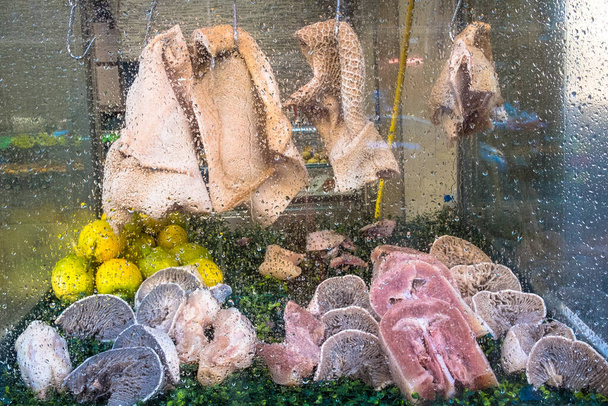 Domuz burun, Napoli'de geleneksel sokak gıda - Fotoğraf, Görsel