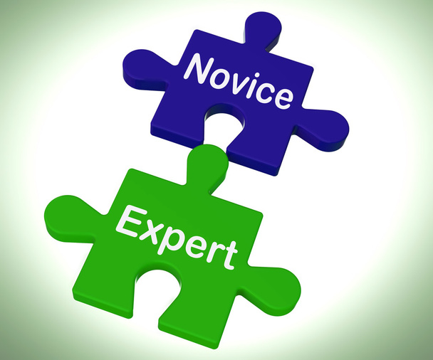 Novice Expert Puzzle Shows Unskilled And Professional - Photo, Image