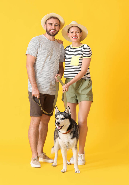Junges Paar mit niedlichem Husky-Hund auf farbigem Hintergrund - Foto, Bild