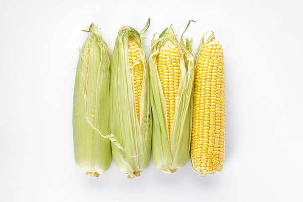 Čerstvé uši kukuřice na bílém pozadí, horní pohled. - Fotografie, Obrázek