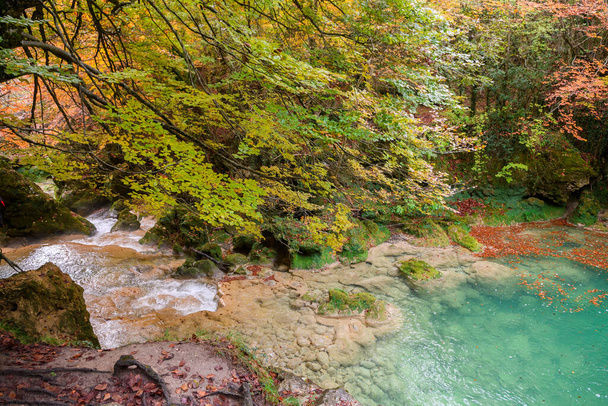 Paysage d'automne coloré à la source urederra, Espagne - Photo, image