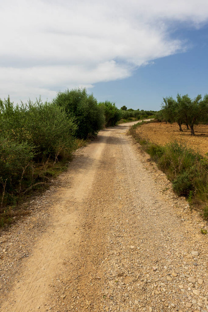 Paisagem da maneira agosto como ele passa por Castellon, Espanha - Foto, Imagem