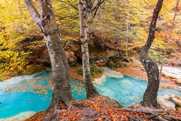 красочный осенний пейзаж у источника уредерры, Испания - Фото, изображение