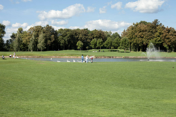 Kiev, Ucrania - 10 de septiembre de 2020: Personas sin rostros alimentando cisnes en el lago, vista trasera. Alimentando a un grupo de cisnes en el parque. Placer simple para la salud mental. Acampar. Enfoque selectivo. Copiar espacio. - Foto, Imagen