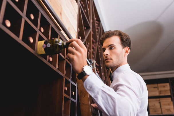 Selective focus of young sommelier taking bottle of wine from rack in restaurant  - Photo, Image