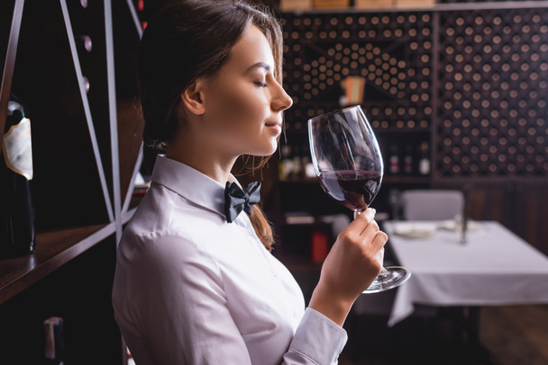 Side view of young sommelier smelling wine in glass with closed eyes  - Photo, Image