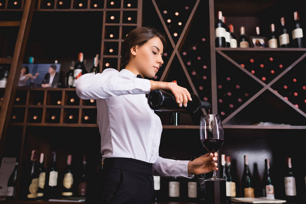 Brunette sommelier pouring wine from bottle in restaurant  - Photo, Image