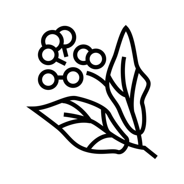 vektor ikony kafr aromaterapie. Kafr aromaterapeutické znamení. izolovaný obrys symbol černá ilustrace - Vektor, obrázek
