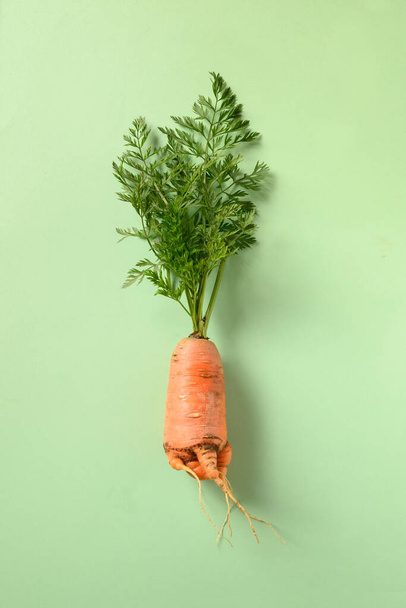 Ugly fresh carrot on green. Concept organic natural vegetables. Vertical format. View from above. - Foto, afbeelding
