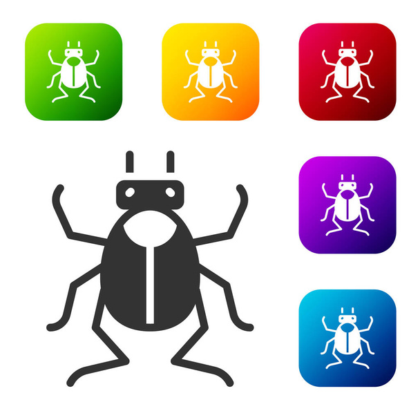Ikona chyby Black Beetle izolované na bílém pozadí. Nastavit ikony v barevných čtvercových tlačítcích. Vektor. - Vektor, obrázek