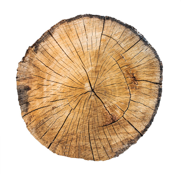 Круглая пила, срезанная со старого дерева с трещинами. изолированные на белом - Фото, изображение