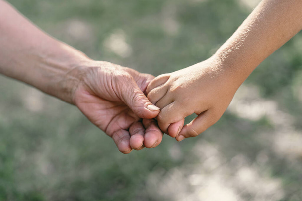 Grandmother and child hold hands.  - Photo, Image