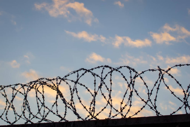 Barbed wire on the background of the cloudy sky. The concept of detention, border closure, prison or loss of freedom. - Photo, Image