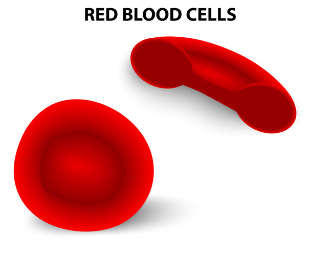 Rode bloedcellen - Vector, afbeelding