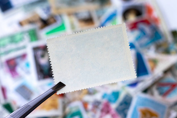 Blank postage stamp in tweezers against blurred background collection of multicolored postage stamps of different countries. Selective focus - Photo, Image