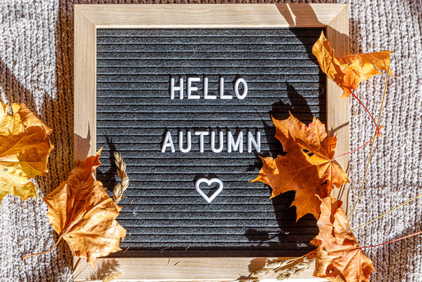 Autumnal Background. Black letter board with text phrase Hello Autumn and dried leaves lying on white knitted sweater. Top view flat lay. Thanksgiving banner. Hygge mood cold weather concept - Foto, imagen