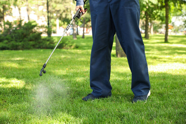Worker spraying pesticide onto green lawn outdoors, closeup. Pest control - Foto, Imagem