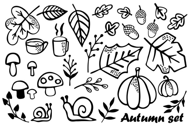 Autumn Set of hand drawn clipart. Black and white drawings. Vector - Вектор, зображення