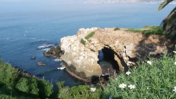 Von der Höhle über dem Meer in La Jolla Cove. Üppiges Laub und Sandsteingrotte. Felsen in der Lagune des Pazifiks, Wellen in der Nähe steiler Klippen. Beliebtes touristisches Wahrzeichen, Naturbogen in San Diego, Kalifornien, USA - Filmmaterial, Video