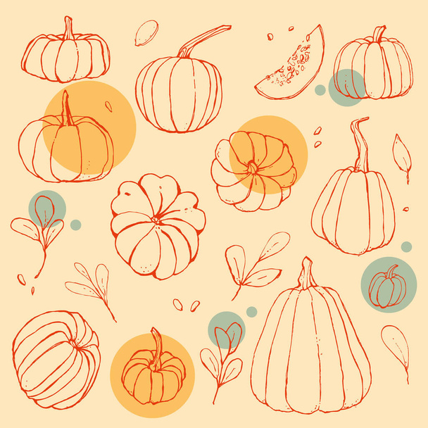 kurpitsa linja haara lehtiä siemenet sato syksyllä oranssi kirkas vektori taidetta linja herkkä tausta menu koristelu kutsu esitys - Vektori, kuva