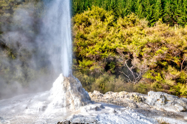 Waiotapu Jeotermal Alanında Lady Knox Gayzer, Yeni Zelanda. - Fotoğraf, Görsel