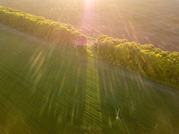Hava görüntüsü. Günbatımının ışınlarında tarımsal alan. - Fotoğraf, Görsel