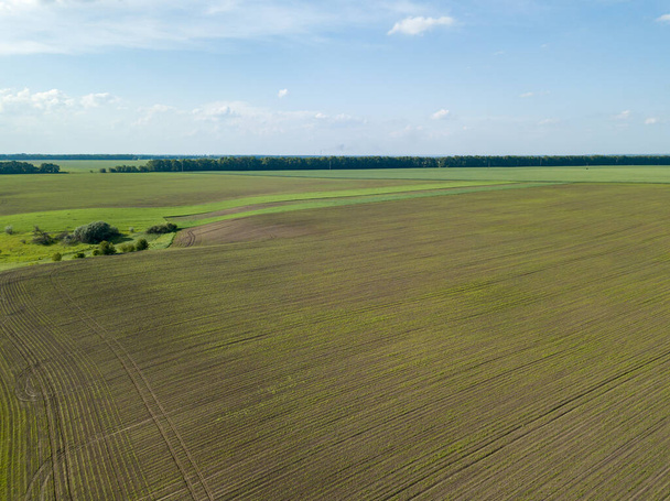 Aerial drone view. Ukrainian agricultural fields. - Foto, afbeelding