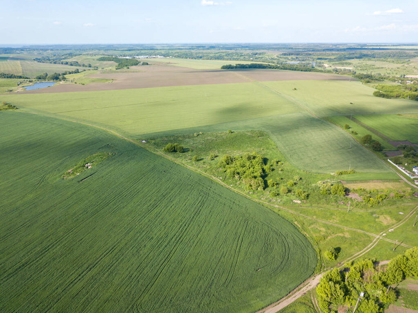 Πράσινο γεωργικό τομέα. Αεροφωτογραφία τηλεκατευθυνόμενου. - Φωτογραφία, εικόνα